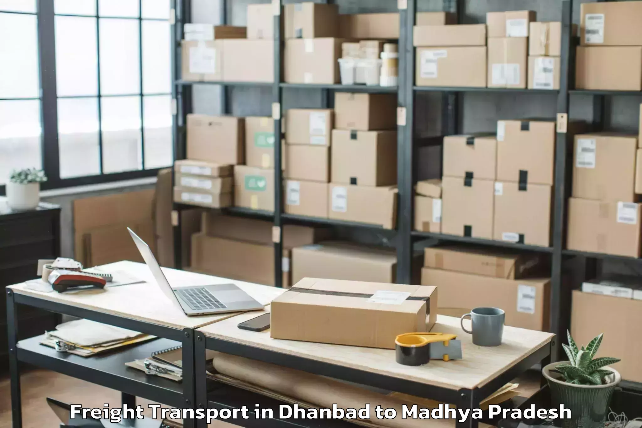 Quality Dhanbad to Jiwaji University Gwalior Freight Transport